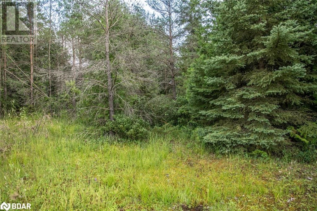 LOT 250 MCGUIRE BEACH Road