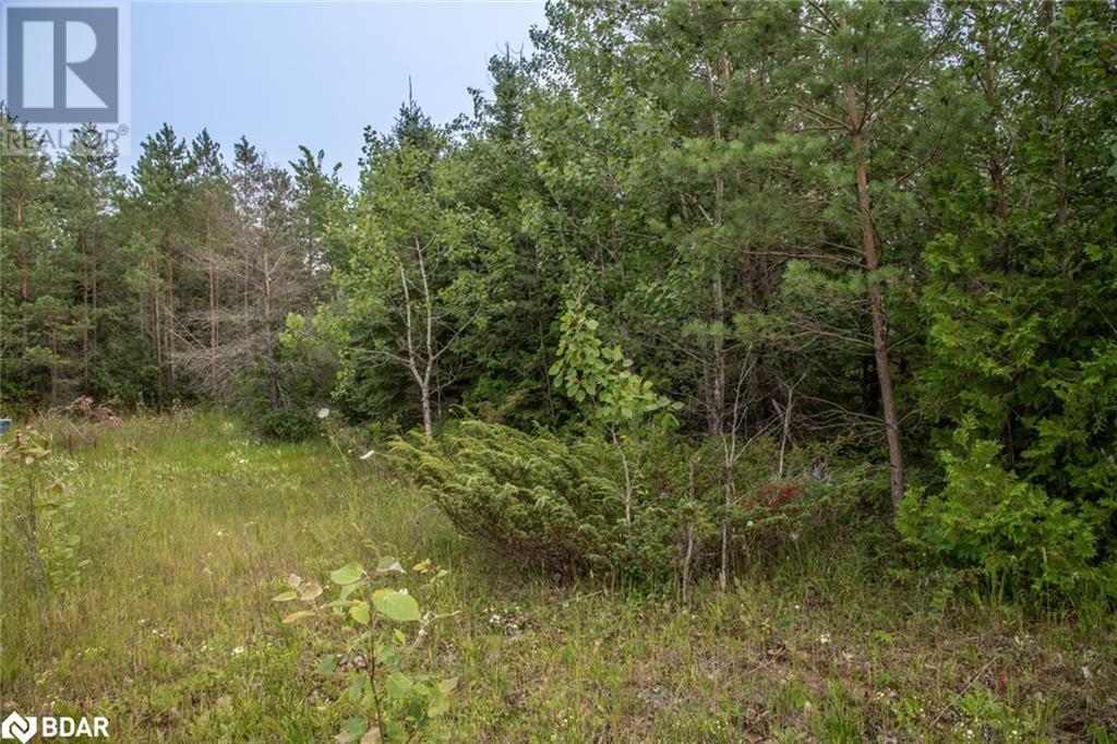 LOT 250 MCGUIRE BEACH Road