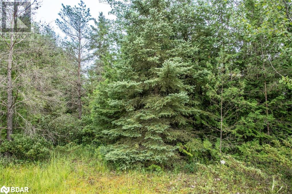 LOT 250 MCGUIRE BEACH Road