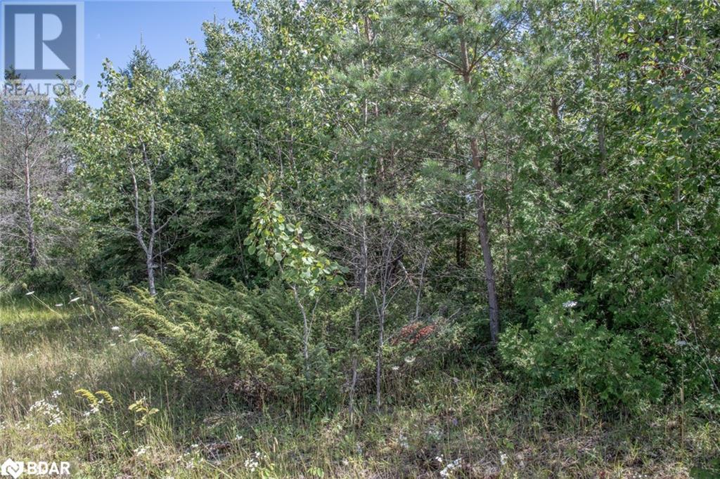 LOT 250 MCGUIRE BEACH Road