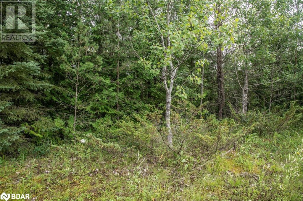 LOT 250 MCGUIRE BEACH Road