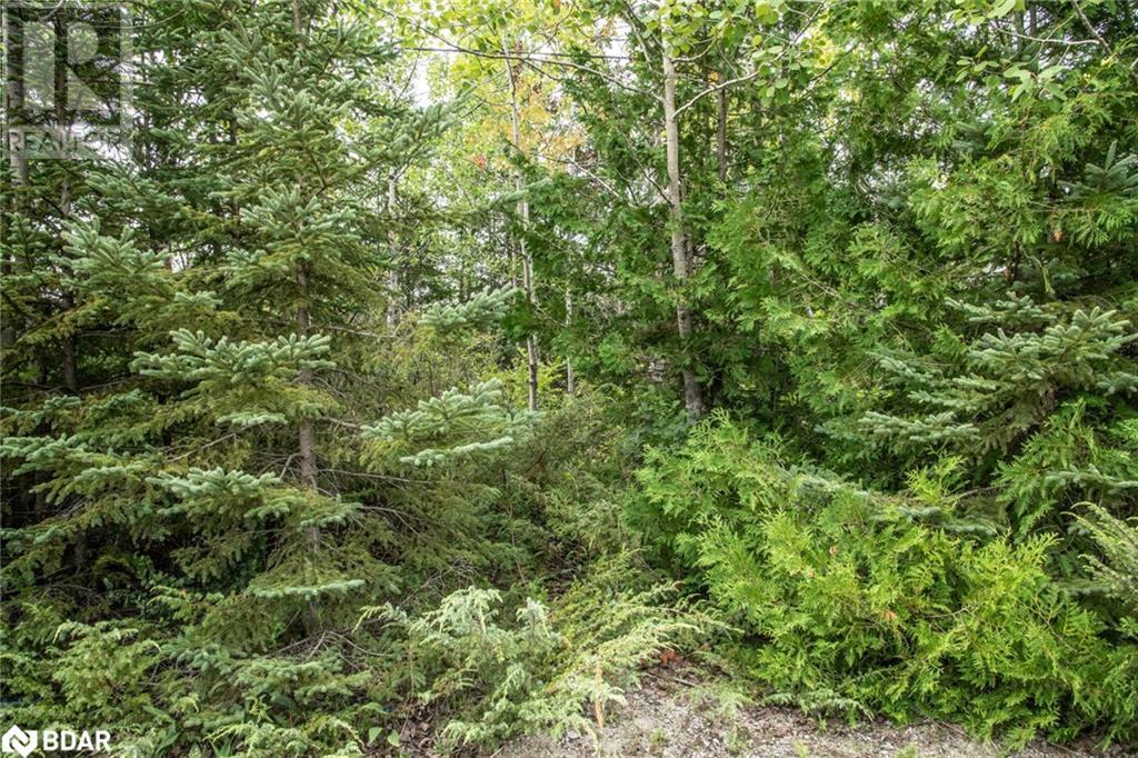 LOT 250 MCGUIRE BEACH Road