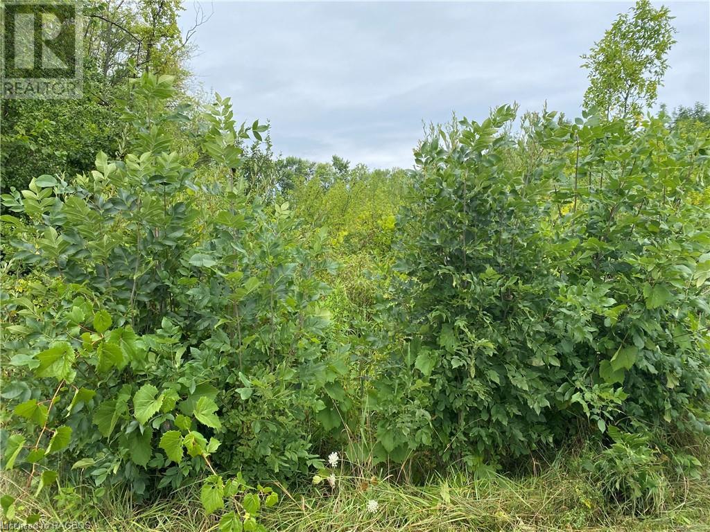 LOT 18 DAWSON Sideroad
