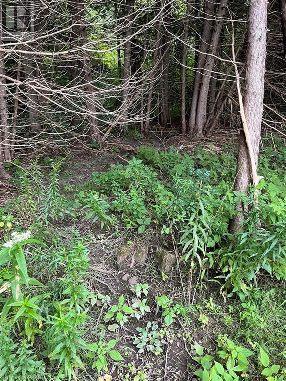 Listing 40473730 - Large Photo # 17