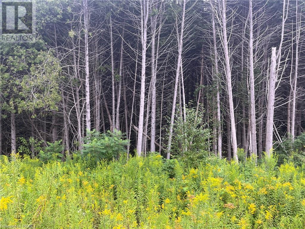 Listing 40473730 - Large Photo # 8