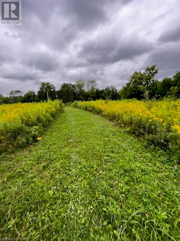 Listing 40473730 - Large Photo # 7