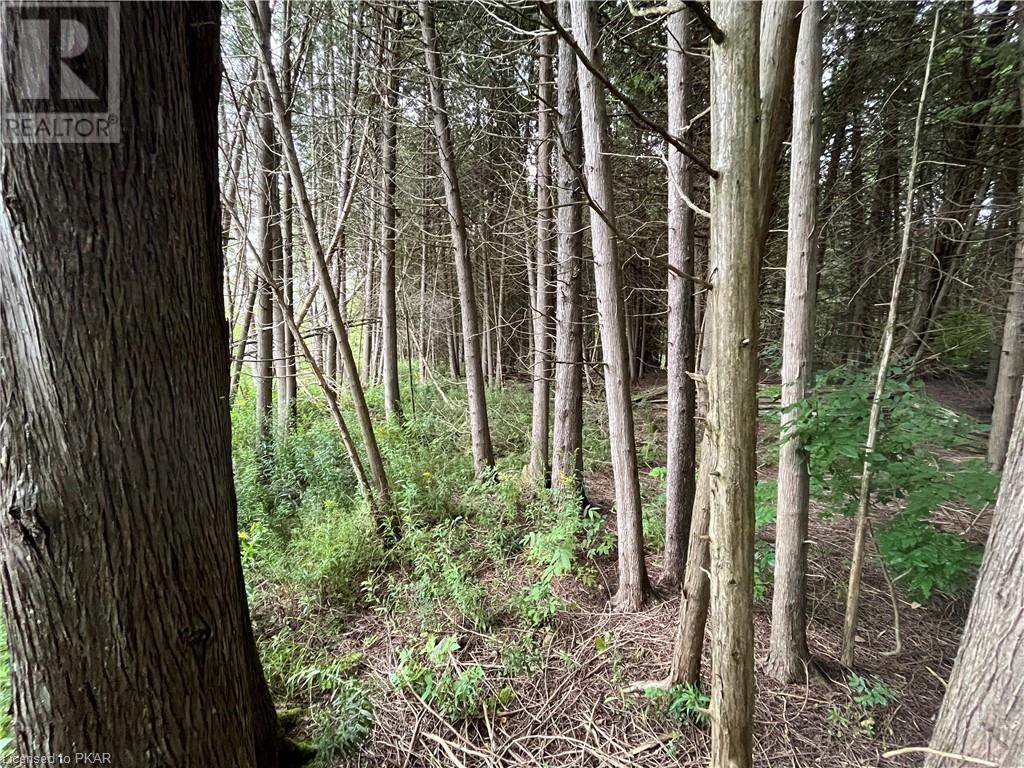 Listing 40473730 - Large Photo # 16