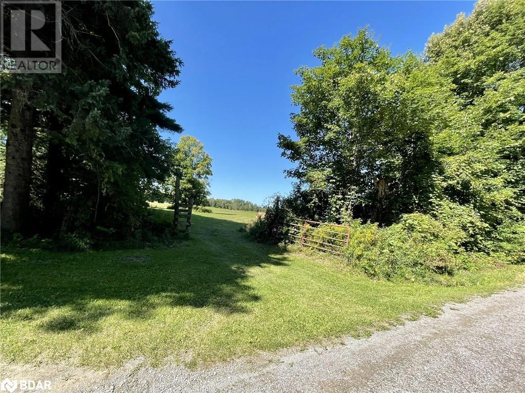 Listing 40475744 - Large Photo # 5