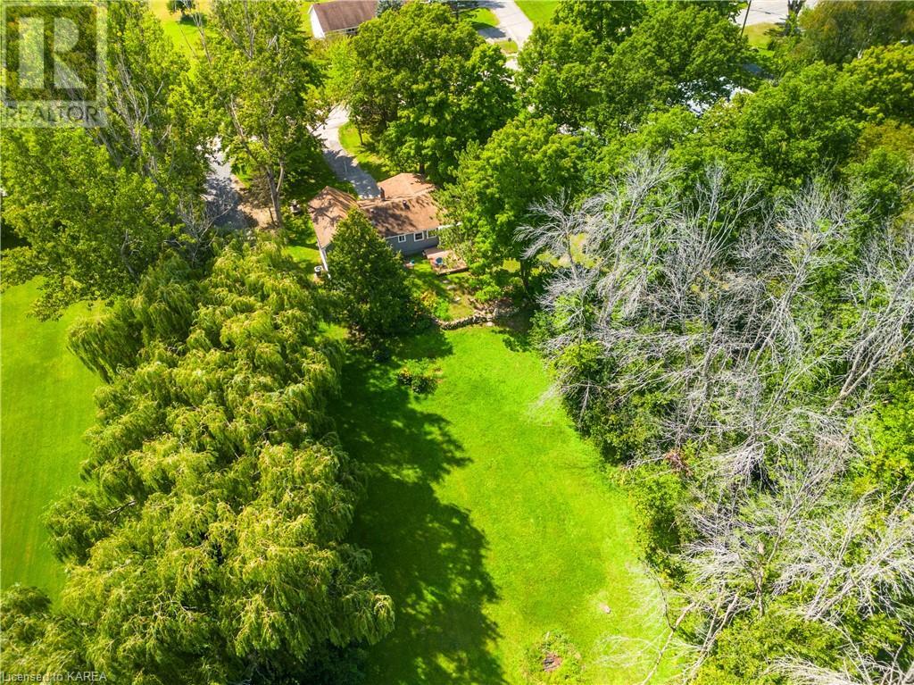 Listing 40475928 - Large Photo # 17