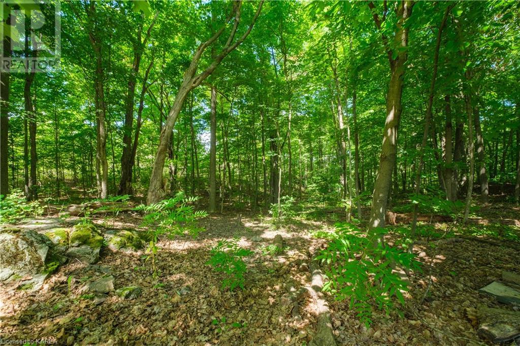 Listing 40477143 - Large Photo # 7