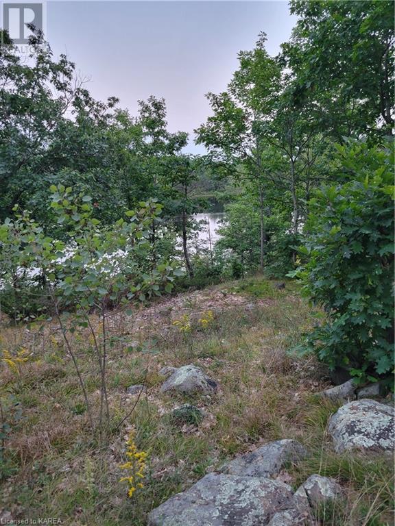 LOT 17 BALL Road