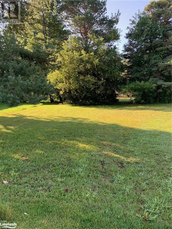 13B LOCKE Avenue