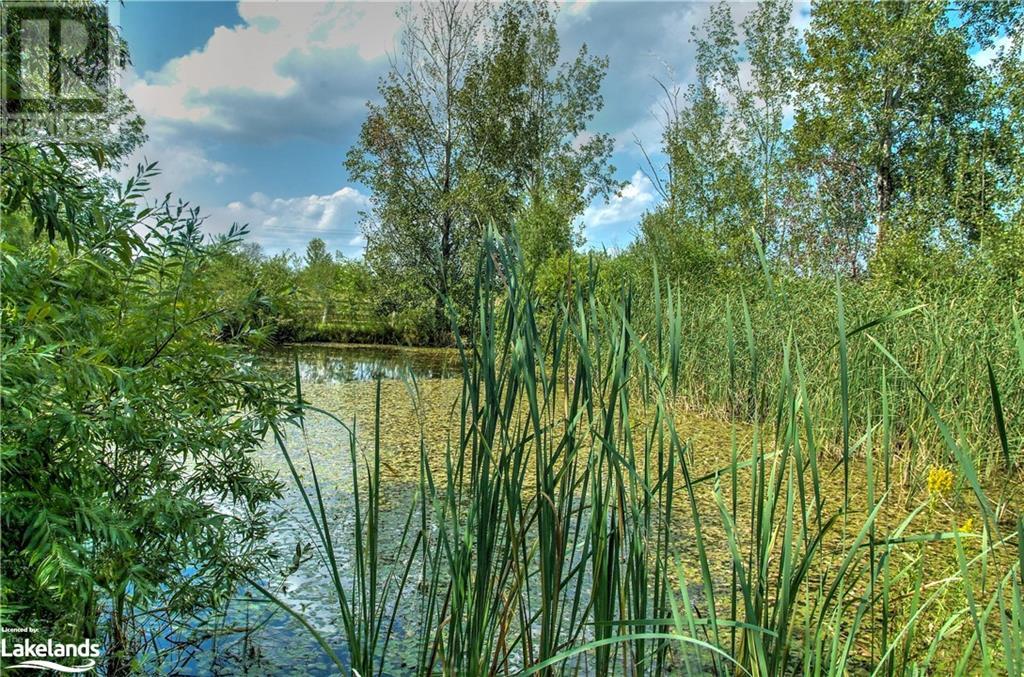2773 CONCESSION 6 NOTTAWASAGA N