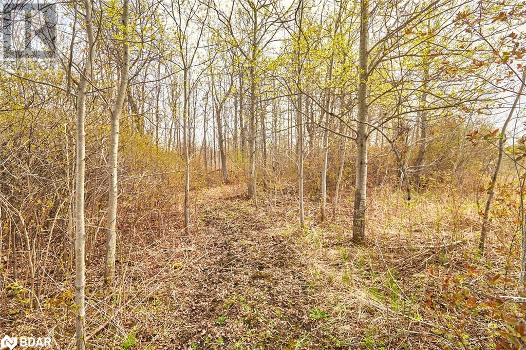 Listing 40480504 - Large Photo # 19