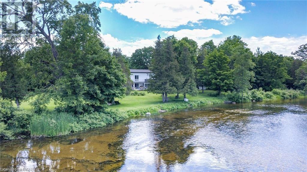 Listing 40480550 - Large Photo # 19