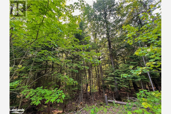 PART LOT 11 CONCESSION 3, Utterson