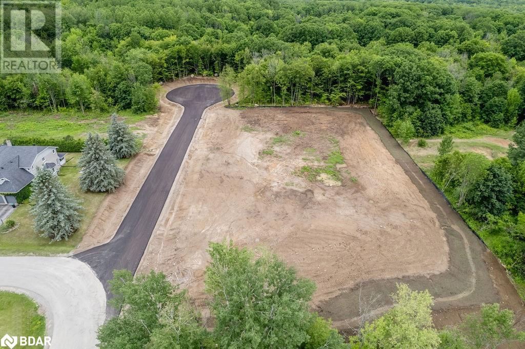 299 CENTENNIAL DRIVE Drive