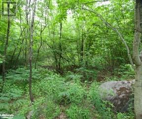 Listing 40482698 - Large Photo # 2