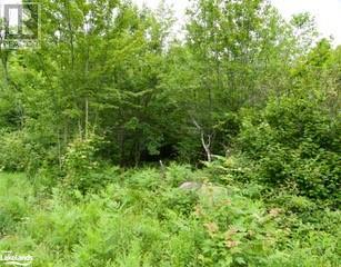 Listing 40482698 - Large Photo # 4