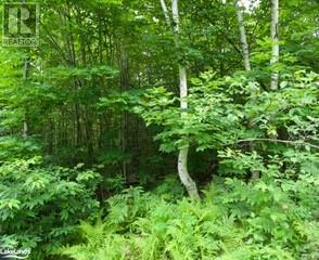 Listing 40482698 - Large Photo # 5