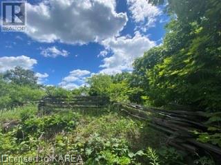 Listing 40483116 - Large Photo # 35