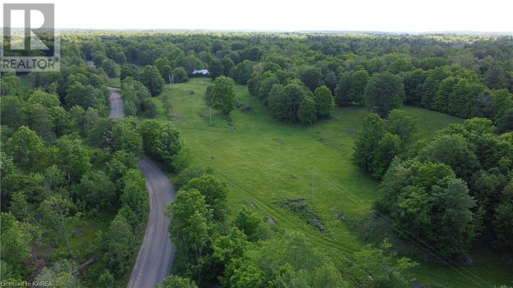 Listing 40483116 - Large Photo # 41