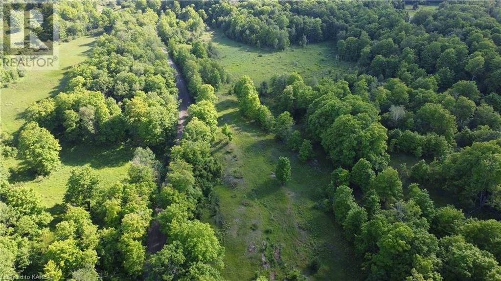 Listing 40483116 - Large Photo # 45