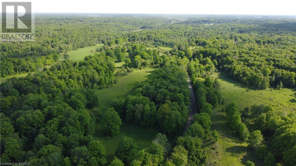 Listing 40483116 - Large Photo # 43