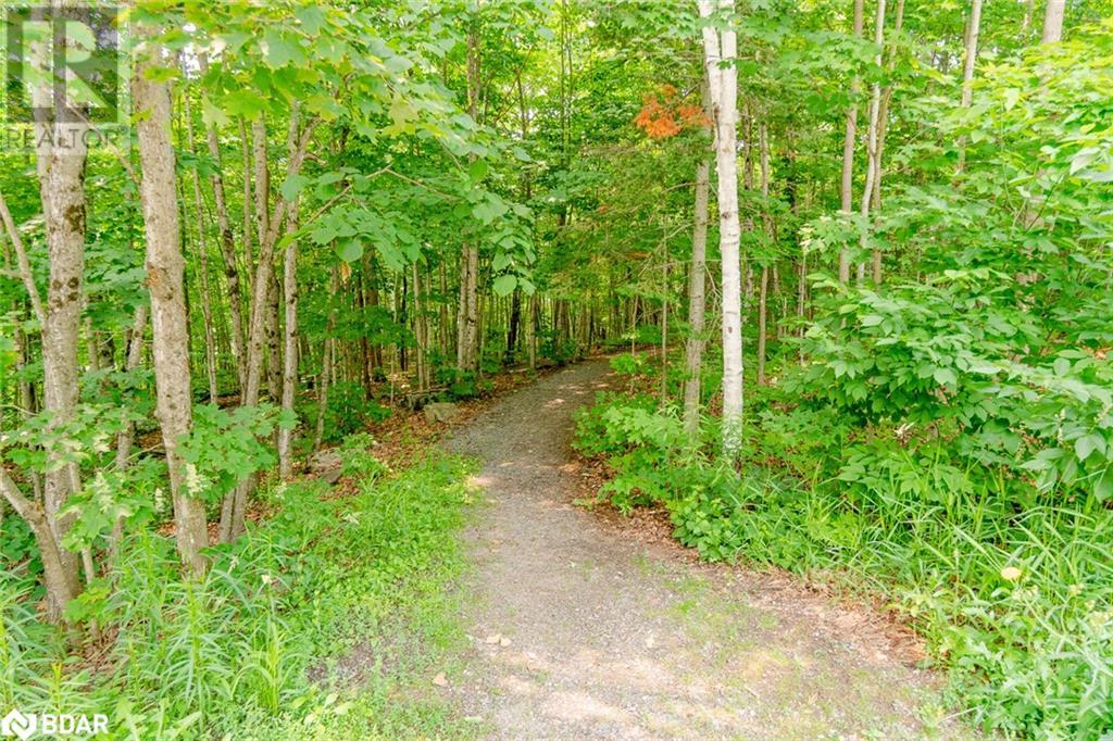 Listing 40483533 - Large Photo # 32
