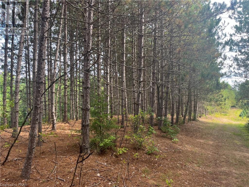 Listing 40484235 - Large Photo # 25
