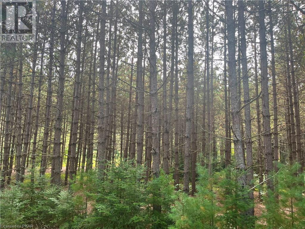 Listing 40484235 - Large Photo # 4