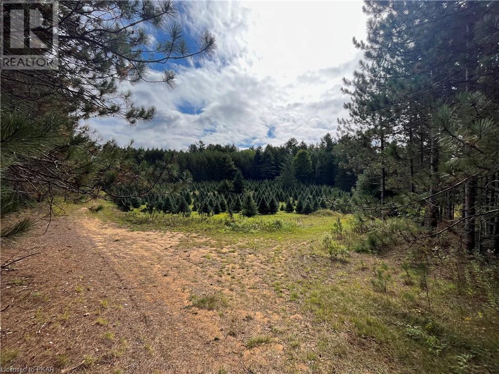 Listing 40484235 - Large Photo # 27