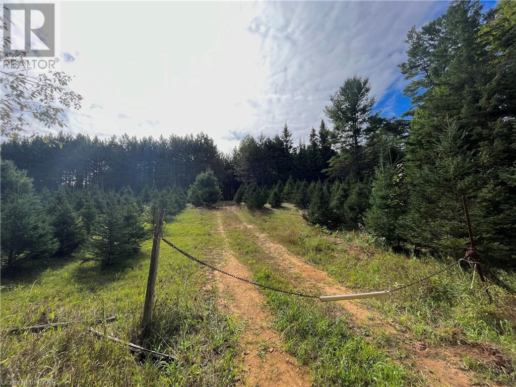 Listing 40484235 - Large Photo # 2