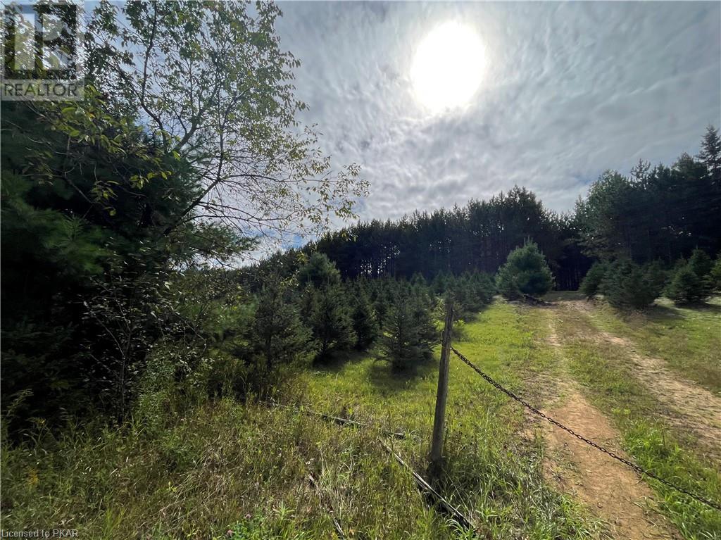 Listing 40484235 - Large Photo # 29