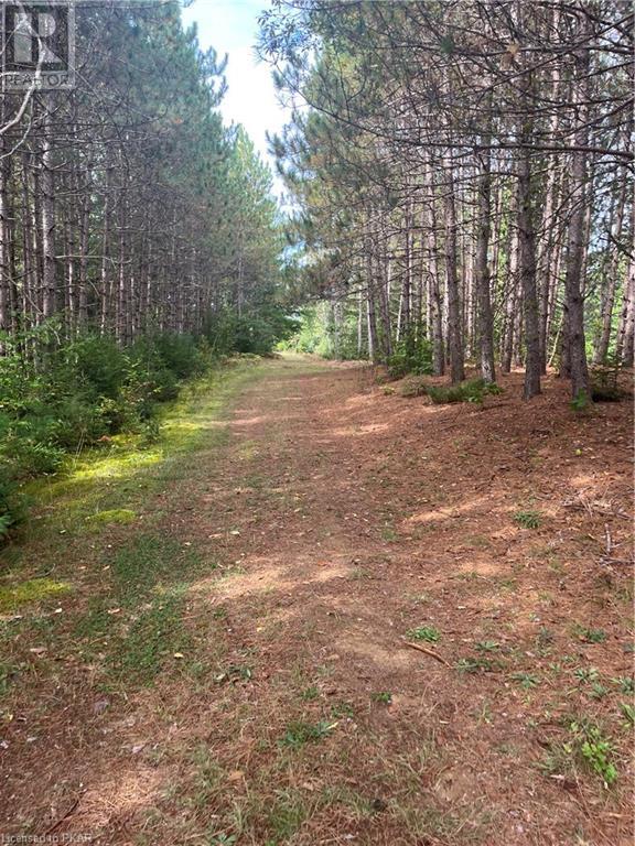 Listing 40484235 - Large Photo # 26