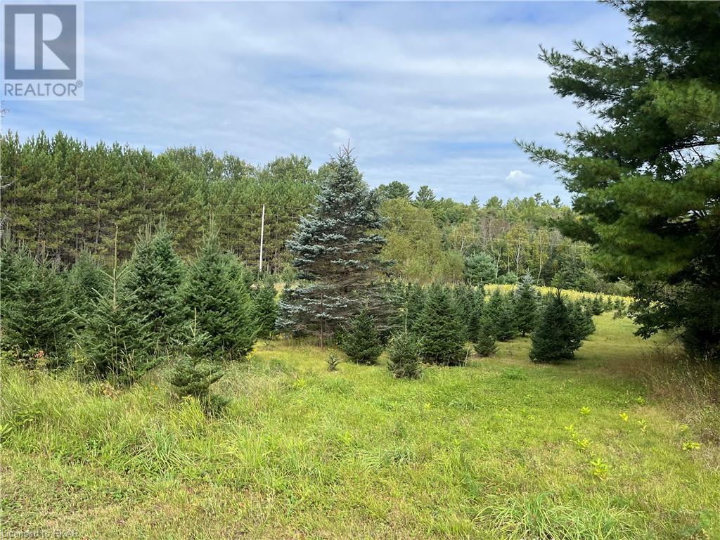 Listing 40484235 - Large Photo # 23