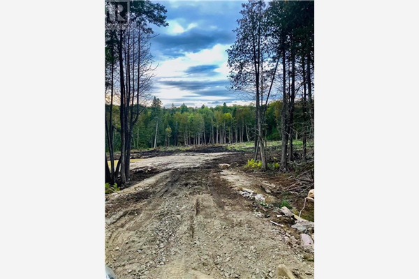 20833 HIGHWAY 118, Highlands East