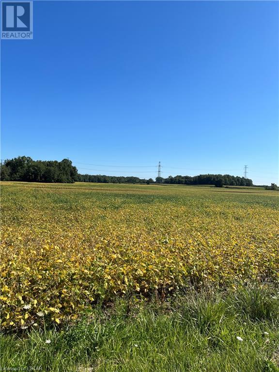 Listing 40485418 - Large Photo # 1