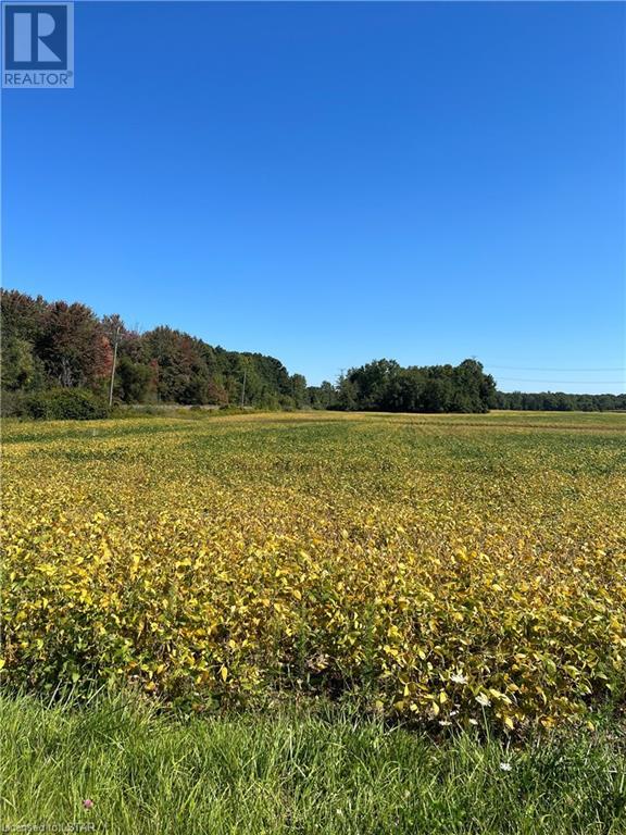 Listing 40485418 - Large Photo # 2