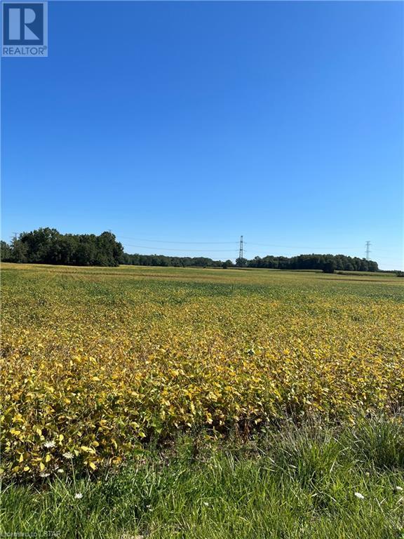 Listing 40485418 - Large Photo # 3