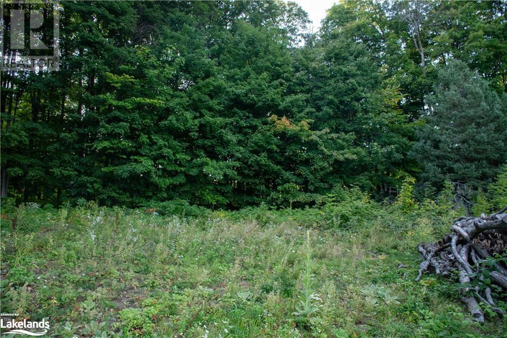 Listing 40485695 - Large Photo # 7