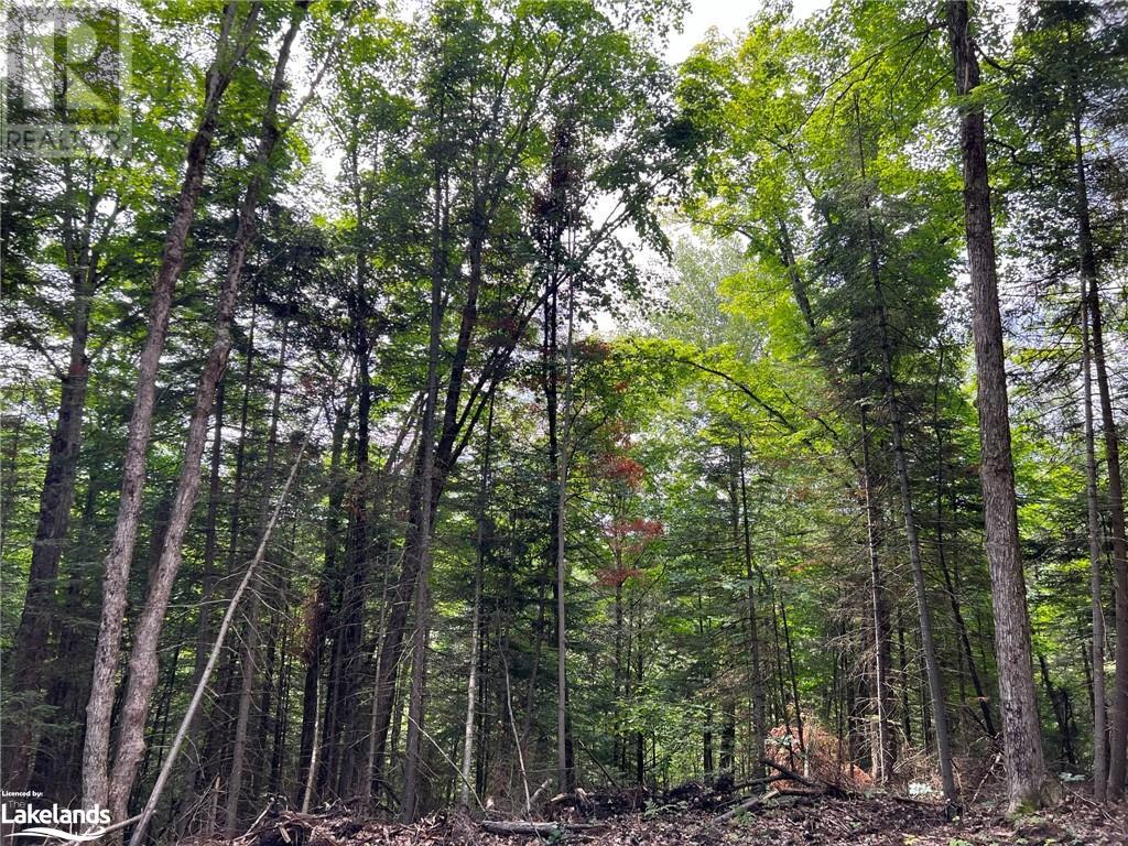 LOT 26 WEST Court