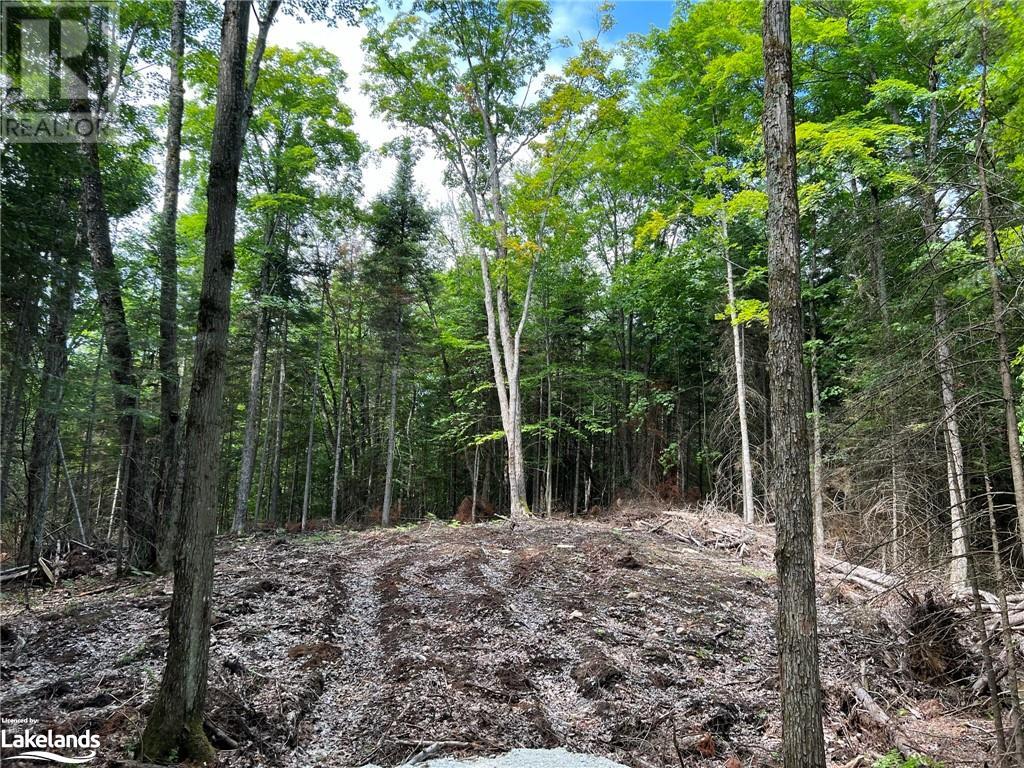 LOT 26 WEST Court