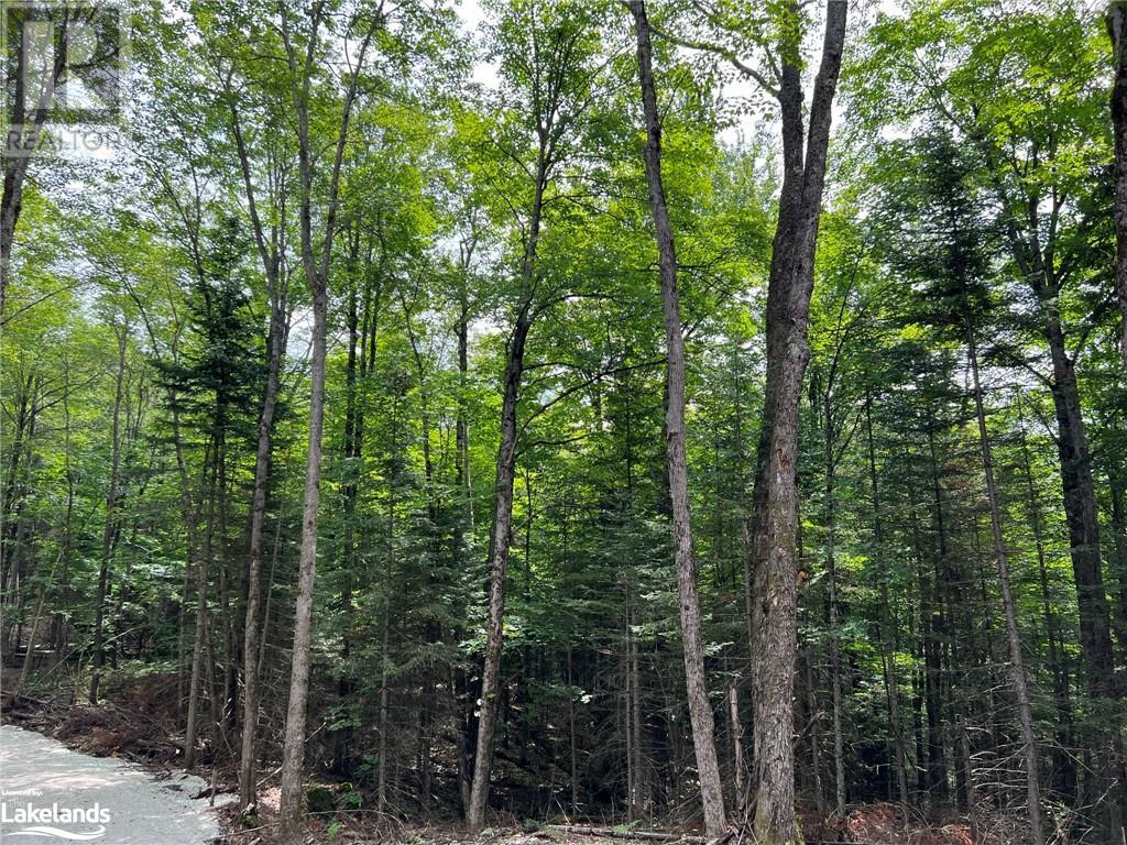 LOT 26 WEST Court