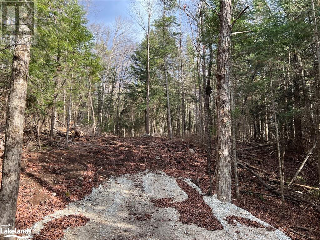 LOT 27 BUSHWOLF LAKE Road