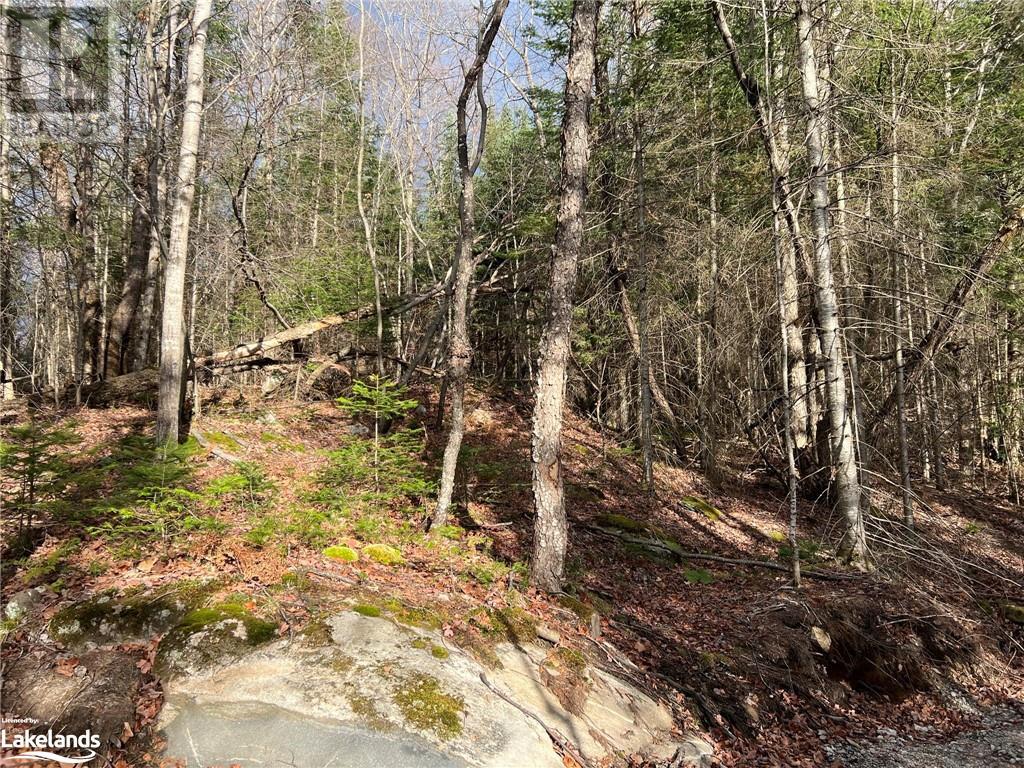 LOT 27 BUSHWOLF LAKE Road
