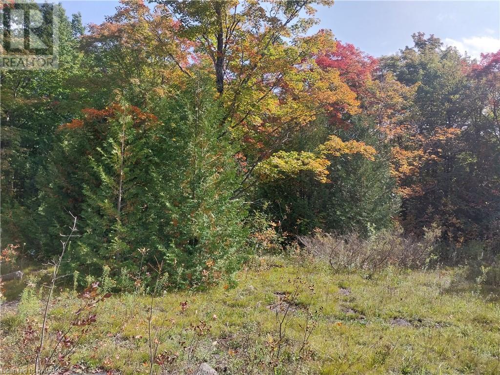 PT LT 28 LINDENWOOD Road
