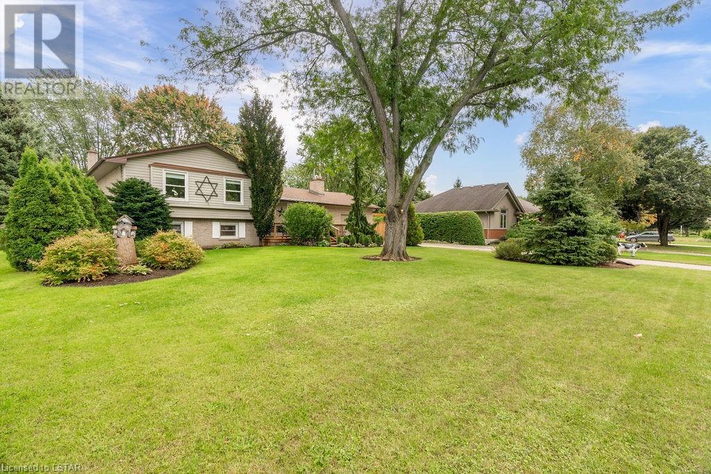 285 DOMINION Street