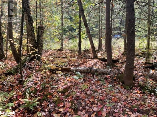 0 HALIBURTON LAKE Road