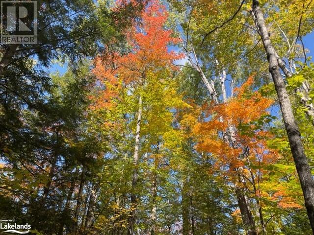 0 HALIBURTON LAKE Road